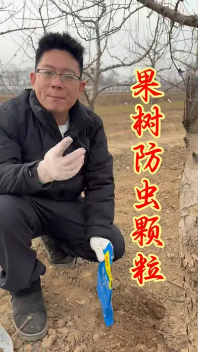 果树虫害轻松防治 #果树种植  #果园管理   #果树病虫害 #服务三农支持三农   #农业种植