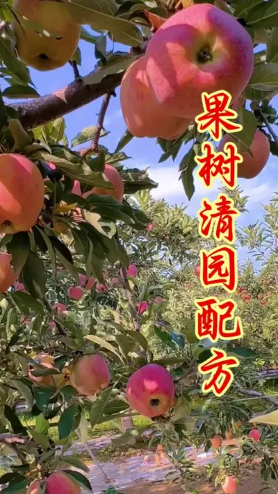 果树春季清园！ #果树种植 #果园管理 #果树清园 #农业种植 #病虫害防治