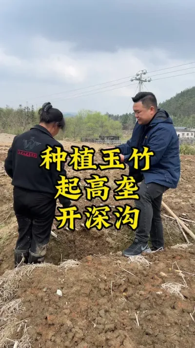 种植玉竹，一定要起高垄，开深沟，排水做到位！ #种植小技巧 #玉竹 #药材种植 #抖音助农 #新农人计划
