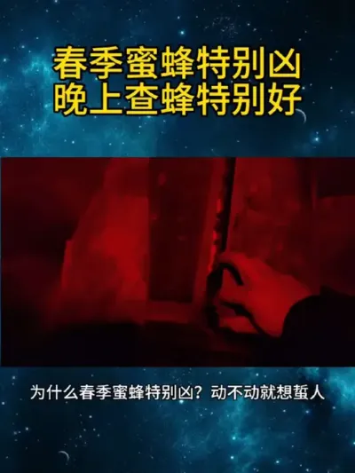 春季蜜蜂特别凶晚上查蜂特别好 #晚上查蜂 #养蜂技术分享 #经验分享 #养蜂人解说 #养蜜蜂新手入门教程