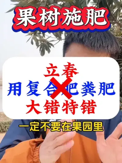 立春前后，果树千万别用复合肥粪肥！#果树施肥#促花保果#果树种植 #果树管理 #果树管理技术
