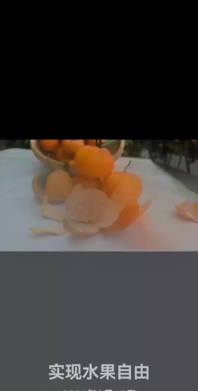 好景一号 #实现水果自由 #好景一号 #李老师说柑桔