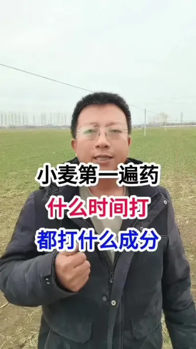 小麦第一遍药，什么时间打，都打什么成分 小麦第一遍药，什么时间打，都打什么成分#小麦种植 #小麦种植管理技术 #马哥聊农业 #小麦高产技术 #农技知识分享