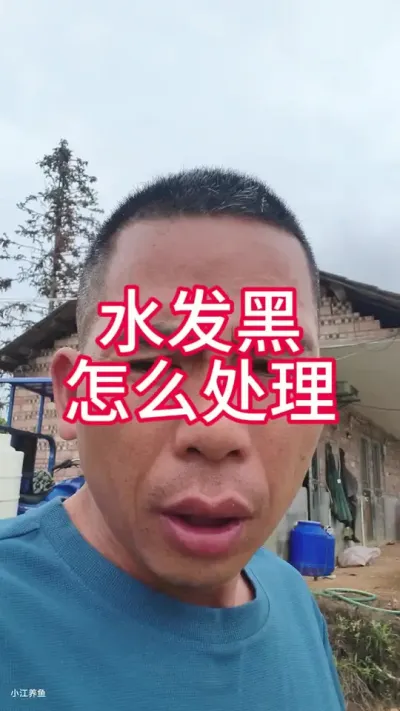 水发黑怎么处理#水产养殖技术 #小江养鱼