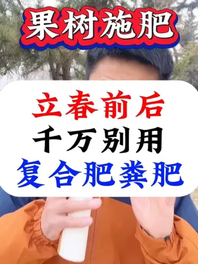 立春前后，果树施肥千万别用复合肥粪肥！！#果树施肥#果树种植 #果树管理 #果树管理技术 #促花保果