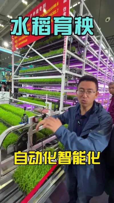 水稻育秧工厂化、自动化、智能化，你觉得多大面积用有性价比？ #三农 #农业机械 #农业种植 #春耕