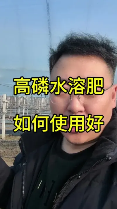 高磷水溶肥是爆花控旺神器，在作物花前7-10天，每亩3-4公斤高磷肥+2-3公斤螯合钙镁锌硼铁，滴灌/淋根！  
可以✅ 促花芽分化 ✅ 保花促果 ✅ 营养直供花果  
因为磷足则「控旺」！减少嫩梢徒