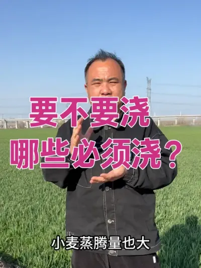 要不要浇？哪些必须浇？ 浇水兼防倒春寒的最佳时间阶段。#分享农业知识帮农民增产增收