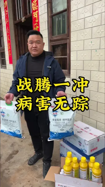 中药材预防根腐战腾一冲，病害无踪 #种植小技巧 #玉竹 #抖音助农 #中药材 #农业种植