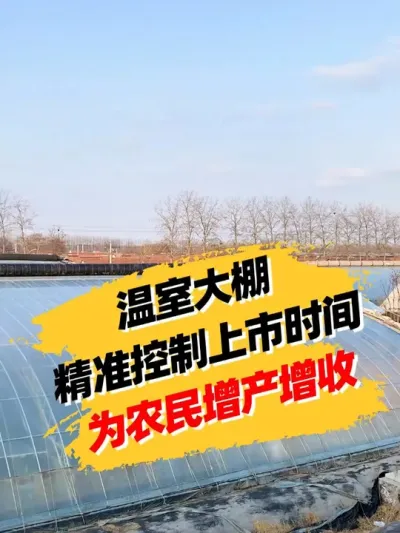 温室大棚精准控制上市时间 #抖音助农 #服务三农支持三农 #农业种植 #分享农业知识帮农民增产增收 #新农人计划