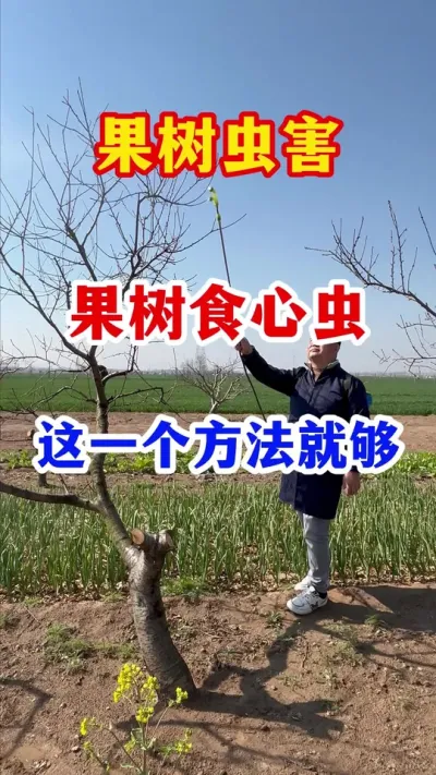 果树食心虫，这一个配方就够了。 #果树种植   #果园管理   #食心虫 #服务三农支持三农   #分享果树种植管理技术