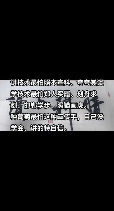 写在2024年末