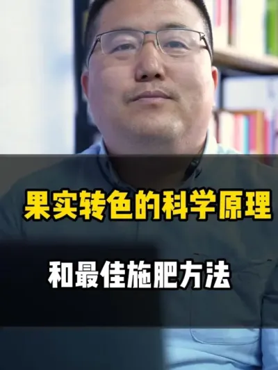 果实转色的科学原理和最佳施肥方法 #转色增甜 #果实转色 #果实增甜 #农业种植 #种植技术