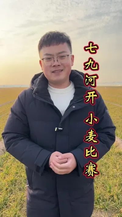 小麦高产 小麦科学管理，增产丰收多卖钱。#小麦种植管理技术 #增产增收 #小麦高产技术 #小麦增产 #小麦高产