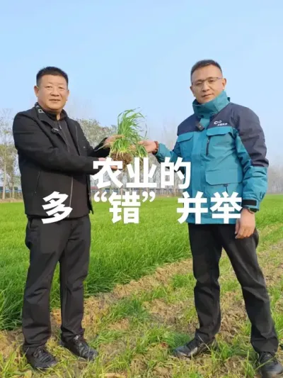 何时踏上科学种田之路？ 年复一年粗放种植，年复一年未曾改变。究竟何时才能真正踏上科学种田的道路呢？#科学种田  #农民是国家的根基 #农业 #农业种植技术