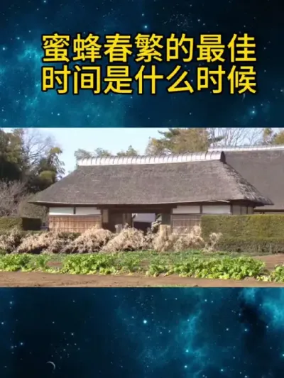 蜜蜂春繁的最佳时间是什么时候 蜜蜂春繁的最佳时间#养蜂技术分享 #养蜜蜂新手入门教程 #中蜂养殖 #农村养蜂人 #胡蜂繁殖全过程
