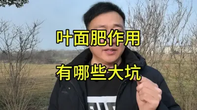 你知道叶面肥的种类有哪些？叶面肥喷到叶片上是如何吸收转化成植物营养需求的？叶面肥的直观效果表现有哪些？在什么情况下叶面肥没有效果？叶面肥的坑又有哪些？本期视频是关于叶面肥非常详细的科普视频，为了以后我