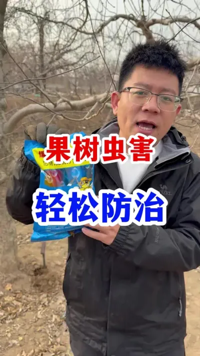 桃树卷叶蚜虫多，应该怎么防治。 #果树种植  #果园管理   #果树病虫害 #服务三农支持三农  #果树蚜虫