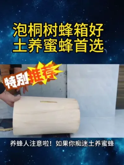 泡桐树蜂箱好土养蜜蜂首选 #泡桐树蜂箱 #土养蜜蜂首选 #坚固一体蜂箱 #养蜂必备好物#成品蜂箱