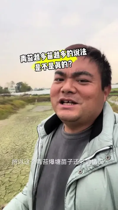 如果有选择，首选还是种草肥好水不长青苔，不过就算长了青苔也不是什么大事#小龙虾养殖 #青苔#肥水