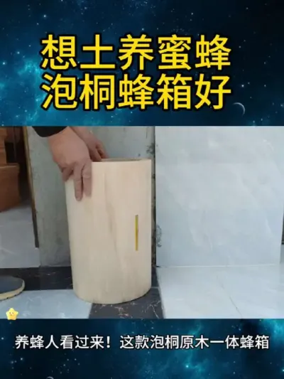 想土养蜜蜂泡桐蜂箱妙 #泡桐蜂箱##养蜂技术 #实用分享 #蜂箱#成品蜂箱 #养蜜蜂新手入门教程