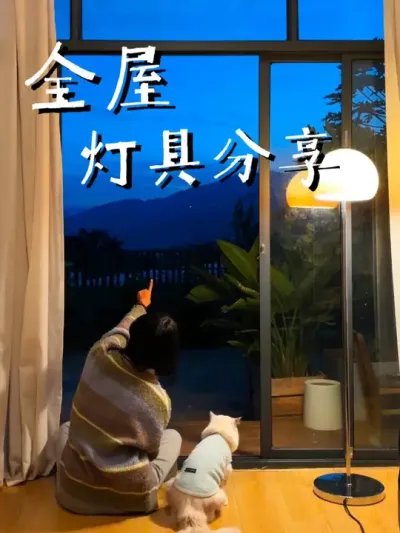 今天是一起全屋灯具分享，快来看看有没有你喜欢的灯吧！#灯具搭配 #软装 #氛围感