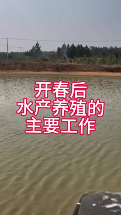 开春后水产养殖主要工作，喂饲料，防水霉，肥水