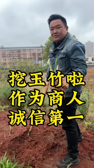 挖玉竹，挖玉竹啦！作为商人，诚信第一！#药材种植 #种植小技巧 #玉竹 #抖音助农 #农业种植