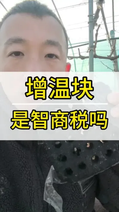 增温块怎么样 #葡萄种植技术 #新农人计划2022 #阳光玫瑰葡萄 #抖音助农 #三农
