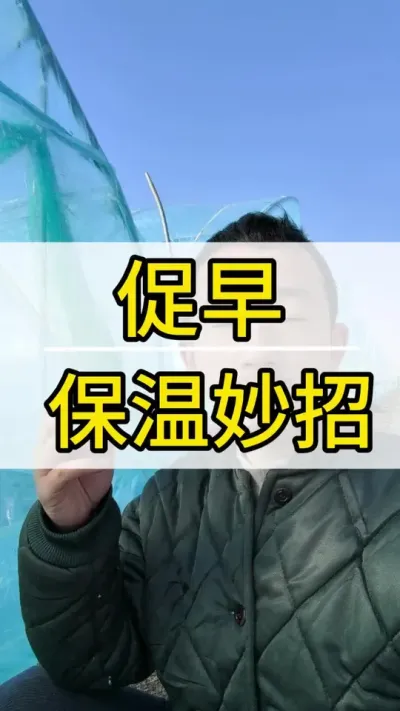 促早保温小妙招 #葡萄种植技术 #新农人计划2022 #阳光玫瑰葡萄 #抖音助农 #三农