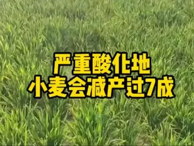 #原创视频 #田间地头走一走 #抖音助农 #农业人话农业