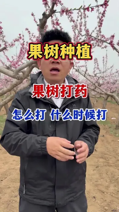 果树蚜虫防治， #果树种植 #病虫害防治  #果园管理  #果树蚜虫  #农业种植
