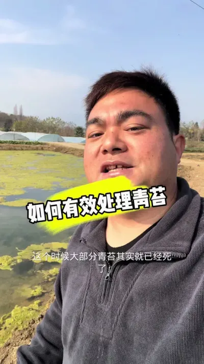 青苔处理宜早不宜迟，只要时机卡得好，真的很简单。不过对于苗塘来说，如果此时青苔已经爆塘，就可以不用管了，开年上水再一次处理掉#小龙虾养殖 #青苔 #肥水