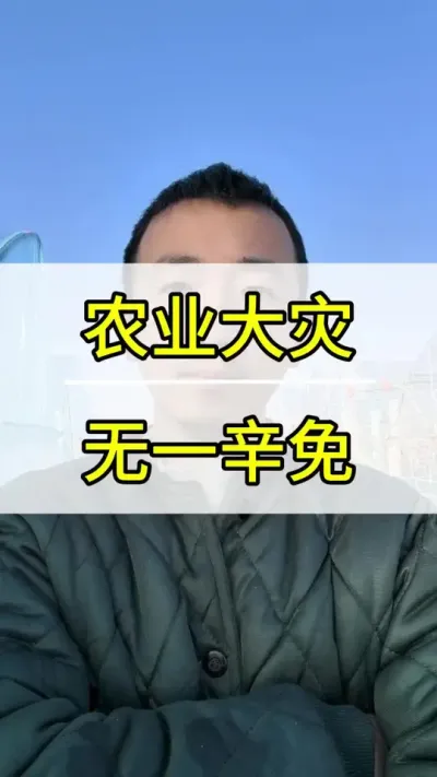 农业大灾 无一幸免 #葡萄种植技术 #新农人计划2022 #阳光玫瑰葡萄 #抖音助农 #三农
