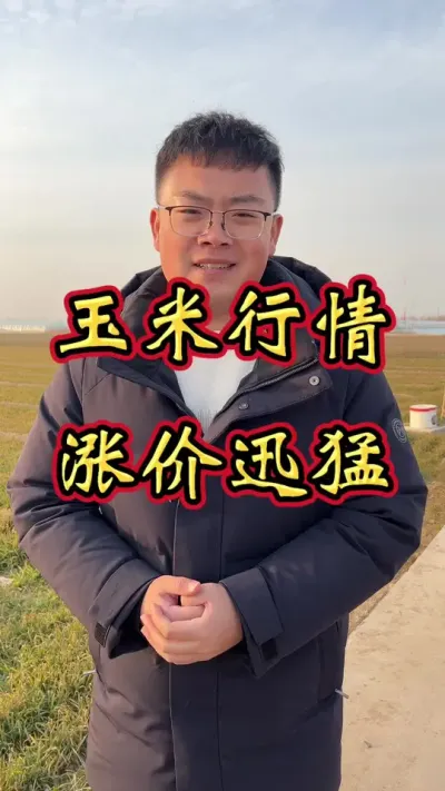 玉米涨价 玉米价格猛涨，您会选择卖掉吗？#玉米价格 #玉米 #玉米价格走势 #玉米最新行情 #玉米价格趋势