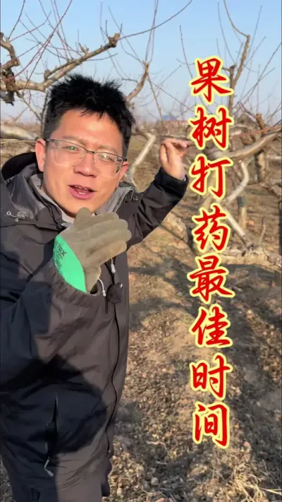 果树打药的最佳时间。 #分享果树种植管理技术   #果树种植   #果园管理 #果树清园