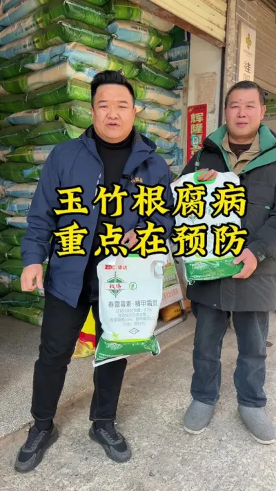 玉竹根腐病，重点在预防！预防根腐，就用战腾👍👍👍 #玉竹 #种植小技巧 #药材种植 #中药材 #抖音助农
