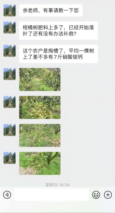 化肥要注意使用方法，否决容易烧根死树#原创视频 #新农人计划2025 #我的日常生活 #我的乡村生活 #抖音助农