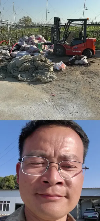猕猴桃不需要商业花粉