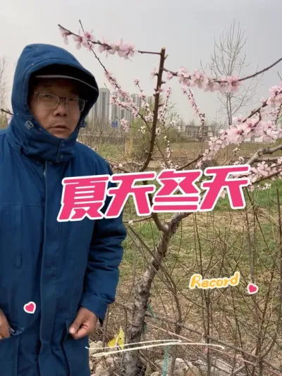 昨天夏天 今天冬天，其实是在春天#果园管理 #三农种植