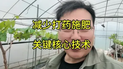 减少打药施肥，节约种植成本，提升农产品品质真的不难#农业种植 #农业技术