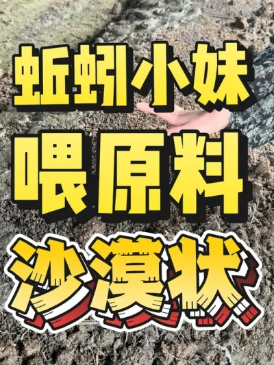 蚯蚓床变沙漠状就是该给蚯蚓喂原料了#蚯蚓养殖 #三农 #农村创业