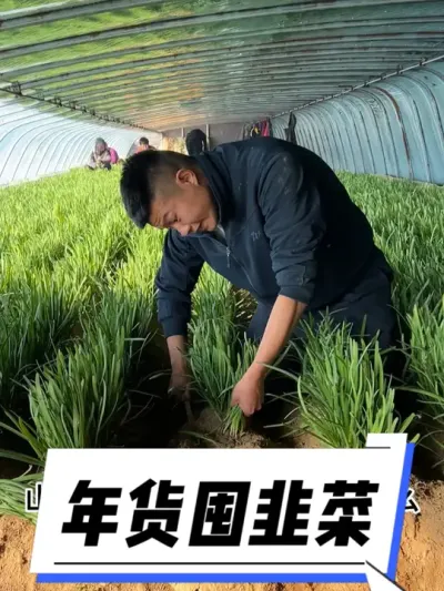 山东人年货必备：韭菜 #过年唠嗑三件套 #舌尖上的抖音 #家乡年货腔调 #吃出福气好运年 #新农人计划2024