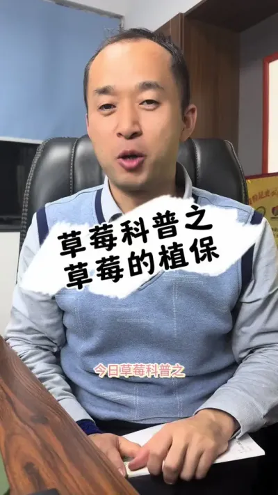 草莓科普之草莓的植保 草莓科普，明白草莓植保的重要性和安全性#草莓种植 #草莓园 #草莓 #三农种植#抖音助农