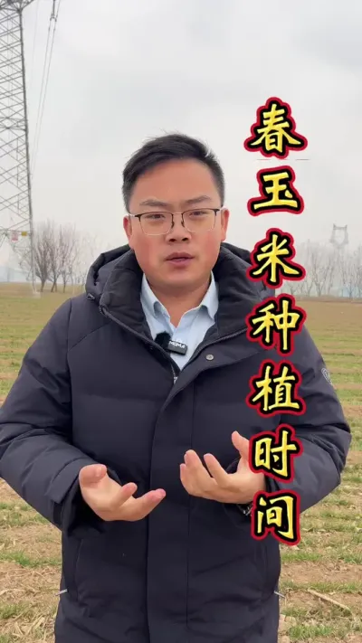 春玉米 春玉米的种植时间，你那里都是什么时候种植呢？#玉米种植 #春玉米#玉米高产种植技术 #玉米种植技术 #玉米高产