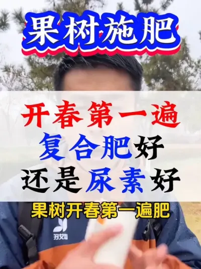 果树开春第一遍肥的正确用法#果树施肥 #果树种植 #果树管理 #促花保果 #果树管理技术