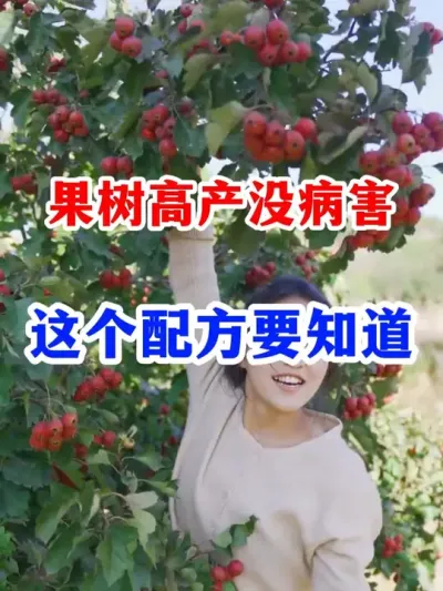 果树想要病害少产量高，这个配方一定要知道。 #果树种植   #果园管理 #服务三农支持三农   #果树病虫害防治  #农业种植