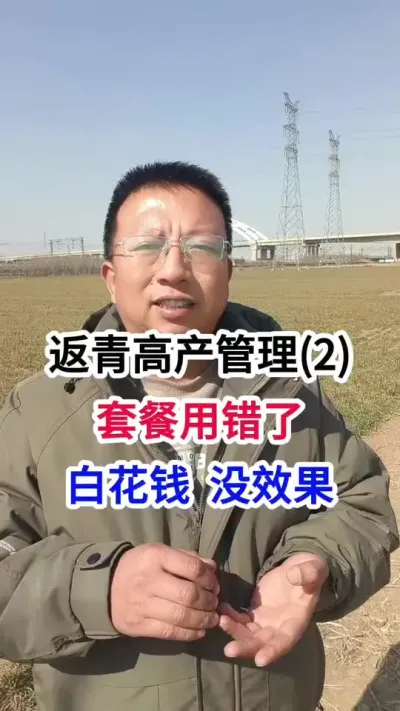返青高产管理，套餐用错了，白花钱，没效果 返青高产管理，套餐用错了，白花钱，没效果#小麦种植 #小麦种植管理技术 #马哥聊农业 #小麦高产技术 #农技知识分享