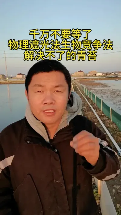 千万要当心了 生物竞争法，物理遮光法，不能解决的清苔不能在等 #水产养殖 #河蟹养殖 #养蟹