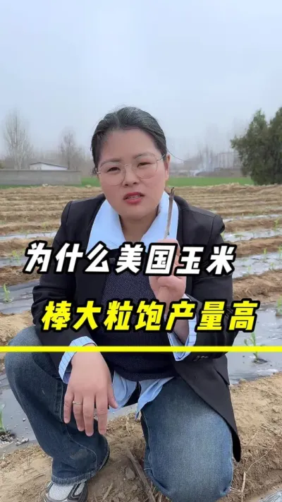 为啥美国玉米穗大粒饱产量高？#玉米 #玉米增产#玉米种植 #三农 #农业